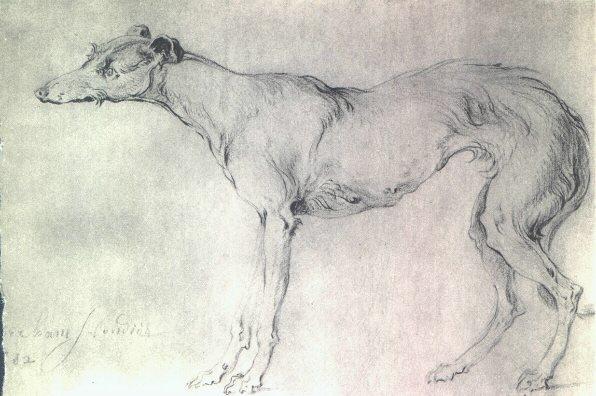 Deerhound dog done by Abraham Hondius