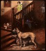deerhound by john sargent noble